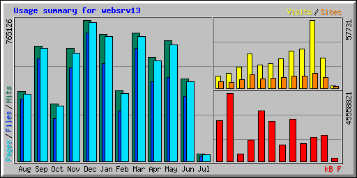 Usage summary for websrv13